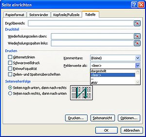 Das Dialogfenster SEITE EINRICHTEN erlaubt das Abschalten von Fehlern