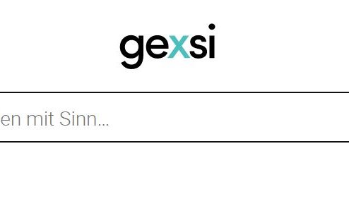 Gexsi Suchmaschine Projekte, Ecosia, Nutzer, Sozialunternehmer