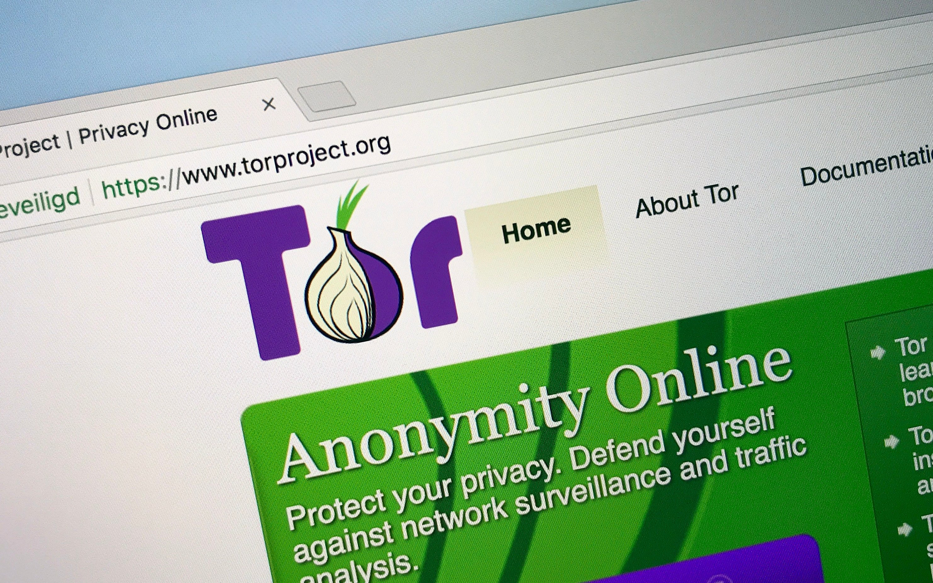 tor browser безопасность mega