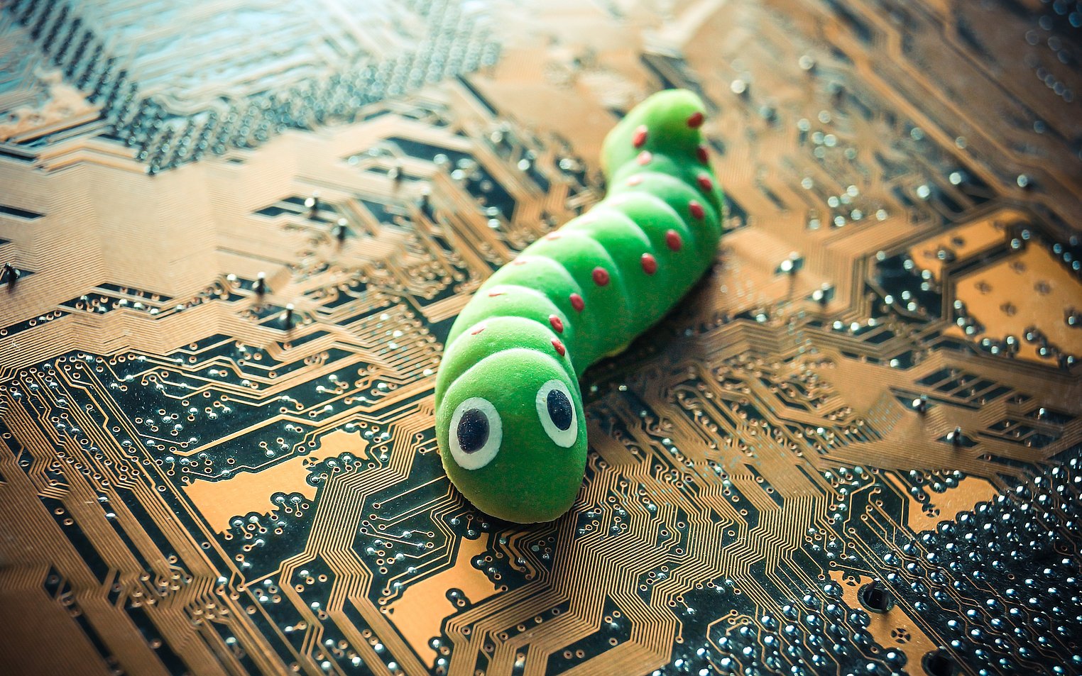 Computerwurm: So schützen Sie Ihren Rechner & entfernen Würmer