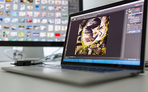 Fotos App Bilder, Anwendung, Funktionen, Smartphone