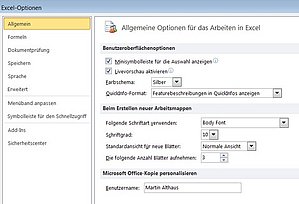Die Optionen beim Einsatz von Excel 2010