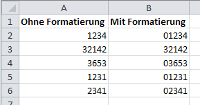 So werden Zahlen auch mit führenden Nullen angezeigt So werden Zahlen auch mit führenden Nullen angezeigt