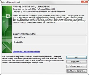 Die Versionsnummer in Excel 2003