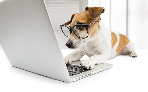Puppy Betriebssystem, Distribution, Ubuntu, Datei