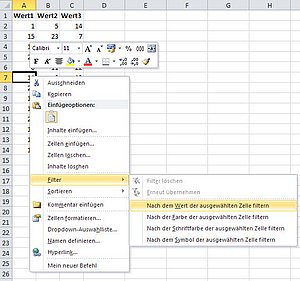 Mit dieser Funktion filtern Sie eine Excel-Liste über nur einen Mausklick