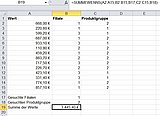 Excel addiert nur die Daten, die beide Kriterien erfüllen