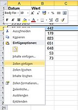 Wählen Sie die Funktion ZELLEN EINFÜGEN.