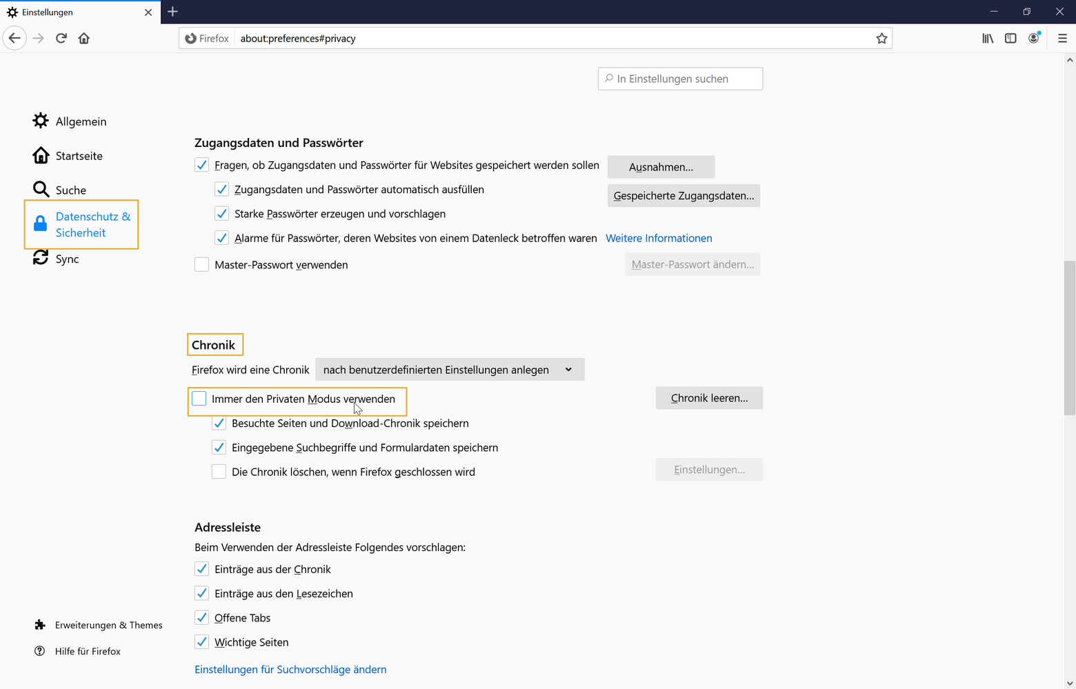 Firefox: Funktionen, Sicherheit und Einstellungen