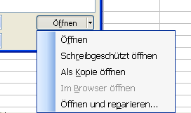 Optionen beim Öffnen einer Arbeitsmappe