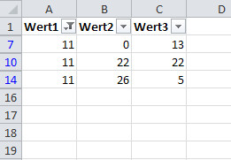 Diese Excel-Liste wurde über einen Mausklick gefiltert